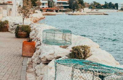 Villa Puntina, Bibinje - Foto 59