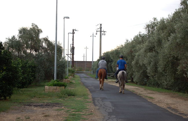 Il Giardino del sole - Foto 20