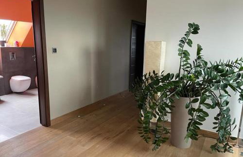 Chata pod strzechą w Beskidach - Foto 45