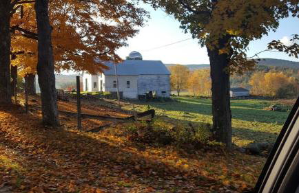 Deer Valley Retreat, Lovely Log Cabin with Fireplace & Garden Views- Perfect for a Relaxing Getaway! - Foto 20