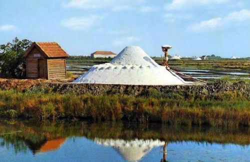 Apartment Aflitos2 Aveiro - Foto 26