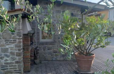 Locazione turistica Casa olivo - Foto 41