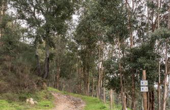 Casa da Torre, Porto Manso - Foto 43