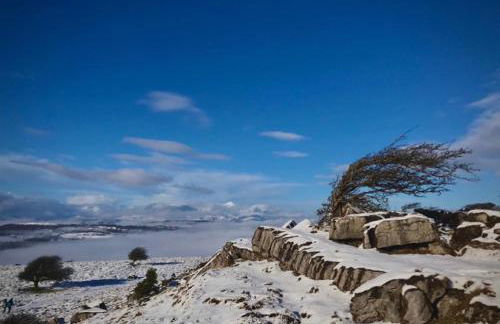 SANDYVIEWS - Foto 36