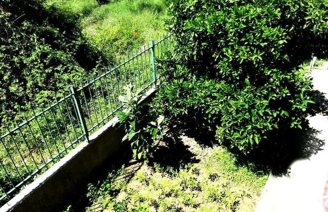 Flutura Apartments - Foto 12