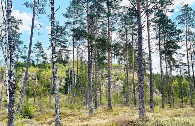 6 Person Holiday Home in Gislaved - Photo 10