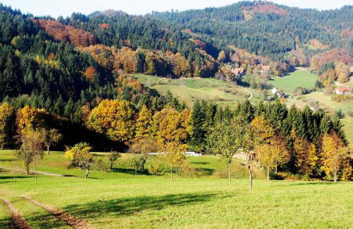 Schnurrenhof - Foto 33