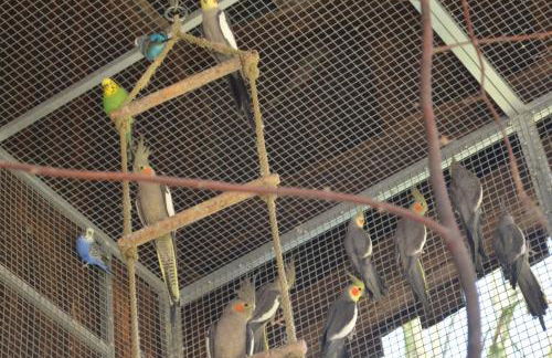 Ferienwohnung Noltenius - Foto 19