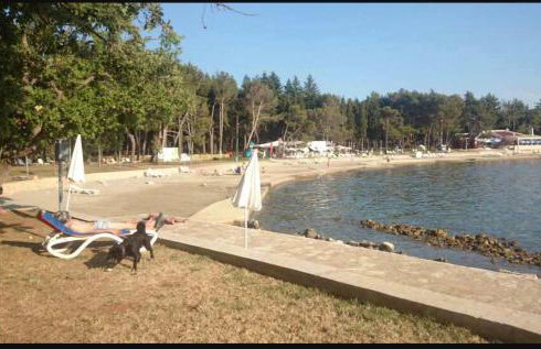 Apartments Relax Zone - Foto 60