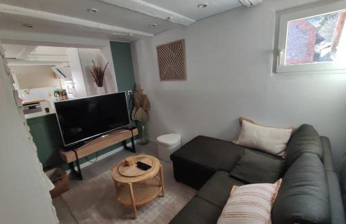 Charmante maison alsacienne, sauna - Foto 24