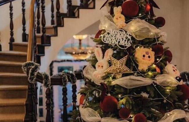 Nguyen Le Home - Photo 5