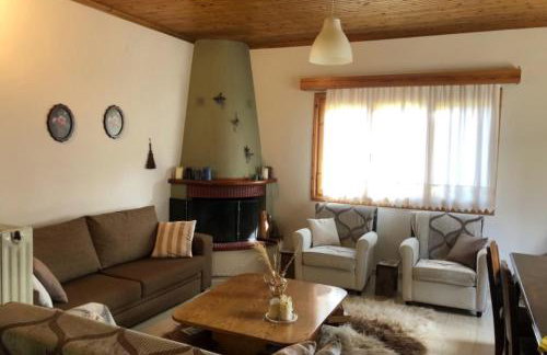 Charoula Pavliani Fthiotidas - Foto 28