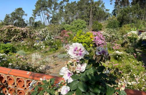 Charming Garden Retreat in Pedrogao Grande - Foto 41