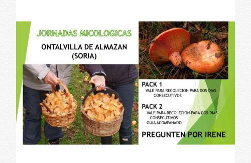 Descanso, aire sano y buenos asados - Foto 43