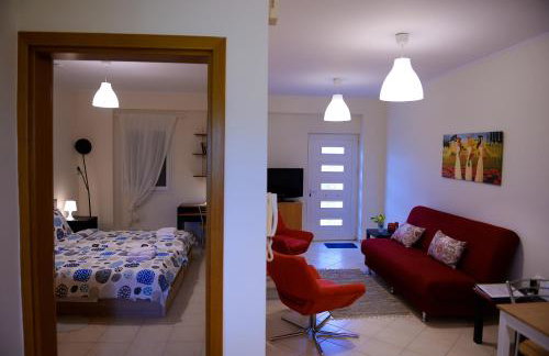 Patras Palm Tree - Foto 22