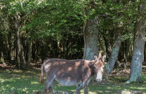 Brook Farm - Foto 50