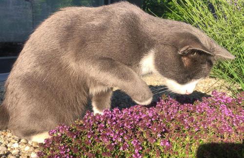 110qm Countryside Loft - Foto 58