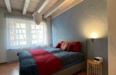 Ferienwohnungen Annweiler am Trifels - Foto 11