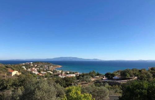 Lemon & Lavender - Photo 24