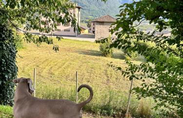 Valtellinda - Foto 27