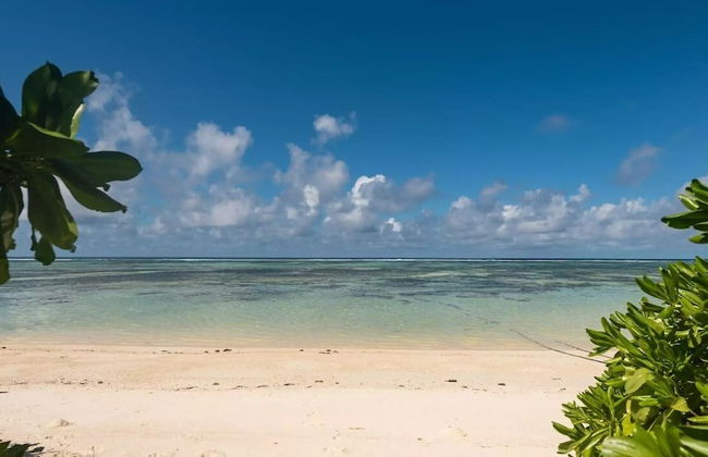 Chez Benoit Self Catering - Photo 44