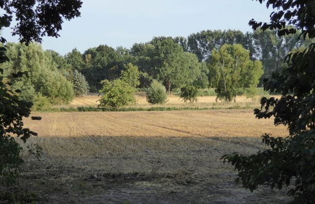 Time out Adendorf Comfortable Vacation Home - Foto 8