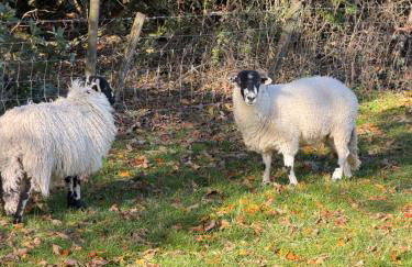 Grange Cottage - Foto 38