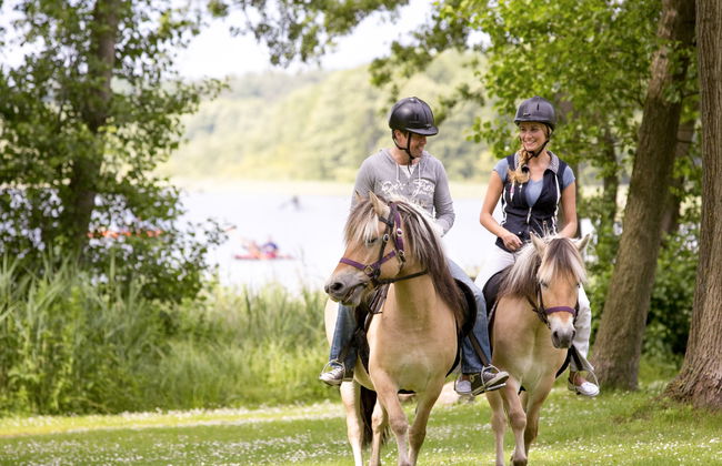 Seeschwalbe - Foto 12