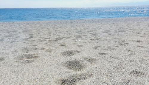 Appartamento Gabriele - Foto 4