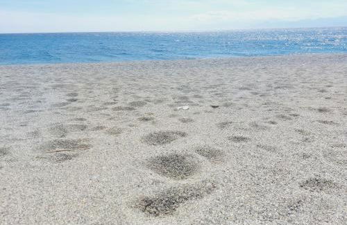 Appartamento Gabriele - Foto 4