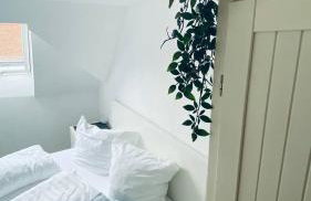 Haus-no19 GbR - Foto 37