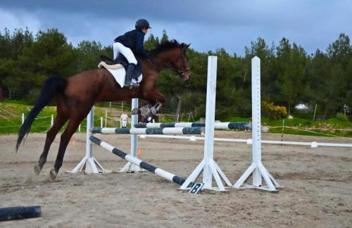 Cascais - Villa at Guincho Beach - Foto 27