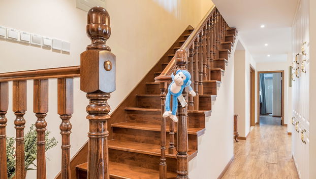 shushe - Photo 5, Réception