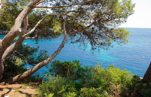 Apartamento Ferrera Park 624 - Foto 27