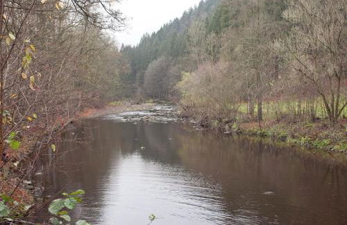 Villa in Borstendorf Nahe Erzgebirge - Foto 35