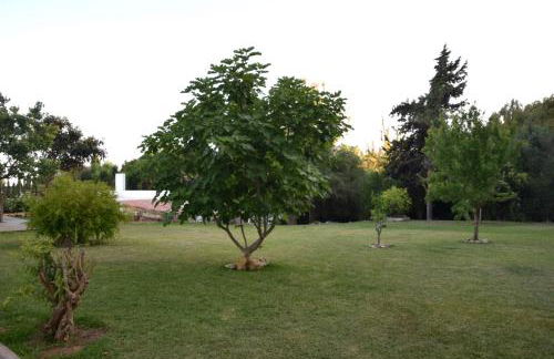 Casa Therese - Foto 26