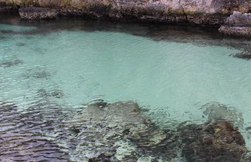 Apartamento passeig maritim, Menorca - Photo 46