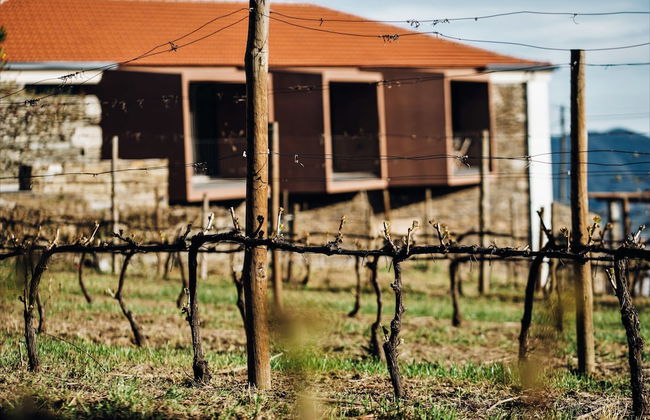 Casa do Santo - Wine & Tourism - Foto 57