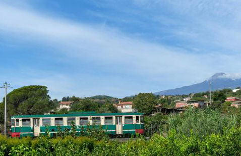 Il Limoneto di Leo - Foto 44