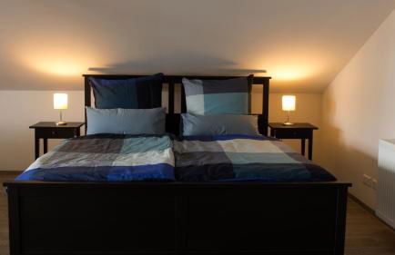 Ringelnatz & Lichtwer - Ferienwohnung Wurzen - Foto 12