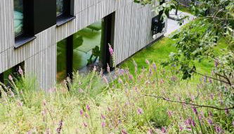 Sauerland Lodge - Haus Juliana - Foto 4