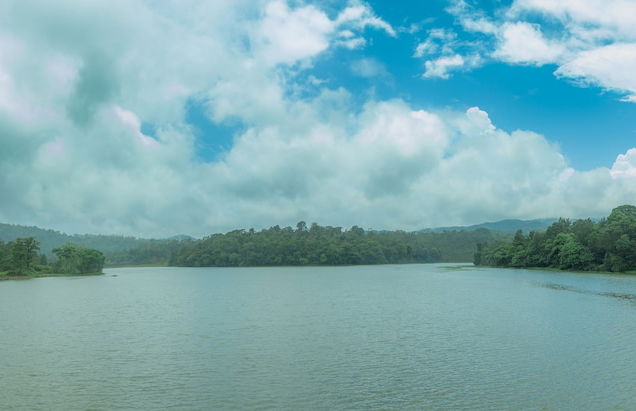 Ama Plantation Trails , Chikmagalur - Foto 15