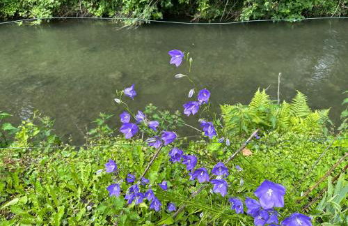 kukione Ferienwohnung - Foto 42