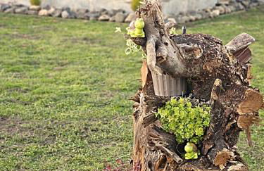 Kerkini's Harmony House - Foto 25