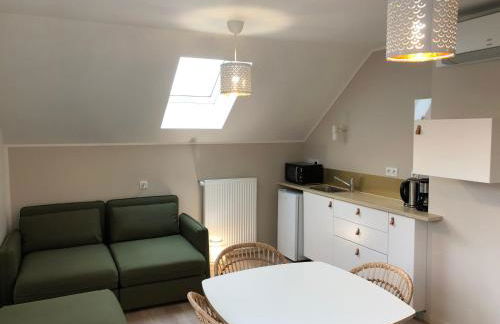 La Maison de la Douce Heure, 4 appartements climatisés avec jardin au centre ville proche des Thermes - Foto 36