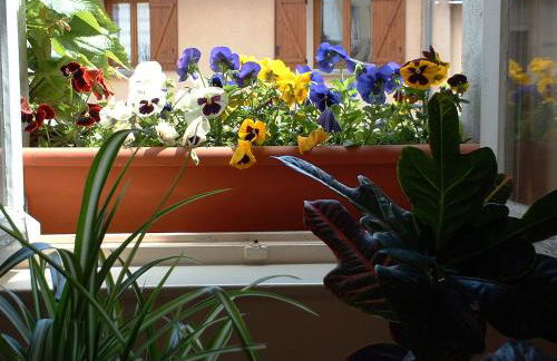 La Roche Pérégrine - Photo 21