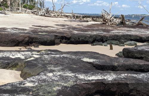 Pondside Perch - Your Waterfront Retreat home - Foto 58