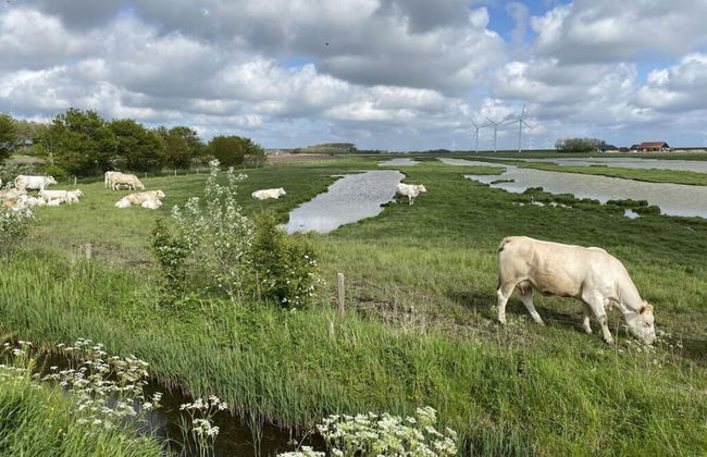 Welcoming Apartment Near Lake - Photo 20