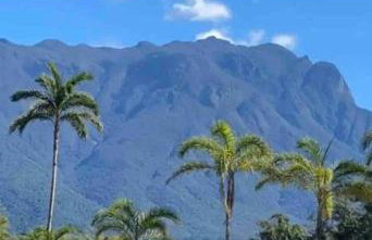 Chalé Flamingo com Piscina Casa inteira em Morretes - Photo 45