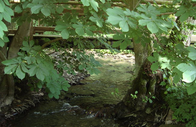 Cosy Apartment in Hallenberg Near Centre - Foto 63